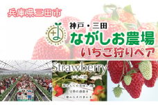 【ふるさと納税】 神戸三田ながしお農場 ( いちご狩りペア券 ) いちご 苺 いちご狩り フルーツ狩り 果物狩り イチゴ 体験 チケット 体験型 お出かけ レジャー ギフト お祝い 期間限定 ふるさと納税 ふるさと 人気 おすすめ 送料無料 兵庫県 三田市 [3d28bae660013]