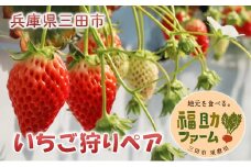 【ふるさと納税】 福助ファーム (いちご狩りペア券)  いちご 苺 いちご狩り フルーツ狩り 果物狩り イチゴ 体験 チケット 体験型 お出かけ レジャー ギフト お祝い 期間限定 ふるさと納税 ふるさと 人気 おすすめ 送料無料 兵庫県 三田市 [3d28bae660016]