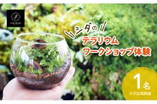 【ふるさと納税】 シダのテラリウムワークショップ体験チケット (1名様分) シダ テラリウム 植物 育成 作成 ギフト 人気 ふるさと納税 ふるさと おすすめ 送料無料 兵庫県 三田市 [3d28bae520000]