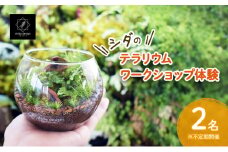 【ふるさと納税】 シダのテラリウムワークショップペア体験チケット (2名様分) 体験 シダ テラリウム 植物 育成 作成 ギフト 人気 ふるさと納税 ふるさと おすすめ 送料無料 兵庫県 三田市 [3d28bae520001]