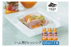 三田屋本店　ハム用ドレッシングセット SN-2 ギフト 肉 お祝い 加工品 ドレッシング ハム はむ [3d28bae270010]