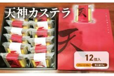 【ふるさと納税】 天神 カステラ 12個入り ヤマオカ スイーツ デザート ギフト お祝い 贈答品 中元 歳暮 数量限定 期間限定 人気 ふるさと納税 ふるさと 人気 おすすめ 送料無料 兵庫県 三田市 [3d28bae680002]