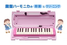 【ふるさと納税】 鍵盤ハーモニカの除菌＆クリーニング 楽器 ハーモニカ クリーニング 鍵盤ハーモニカ 除菌 殺菌 ギフト お祝い 贈答品 中元 歳暮 数量限定 期間限定 人気 ふるさと納税 ふるさと 人気 おすすめ 送料無料 兵庫県 三田市 [3d28bae620000]