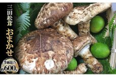 【ふるさと納税】 三田 松茸 おまかせ (等級混合約600g) まつたけ 秋の味覚 きのこ キノコ 旬の野菜 贈答品 お歳暮 新年 年末 贈り物 ギフト 食品 ギフト  ふるさと納税 ふるさと 人気 おすすめ 送料無料 兵庫県 三田市 [3d28bae460000]