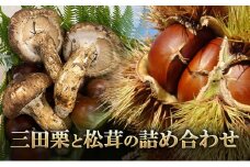 【ふるさと納税】 三田栗 2L (1kg)  三田 松茸 (等級混合約200g)  の詰め合わせ 栗 まつたけ 秋の味覚 きのこ キノコ 旬の野菜 贈答品 贈り物 ギフト 食品 ギフト  ふるさと納税 ふるさと 人気 おすすめ 送料無料 兵庫県 三田市 [3d28bae460003]