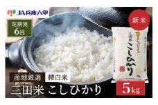 テレビで話題★【予約受付開始】【定期便】【令和7年度産】 三田米 コシヒカリ 5kg 6ヶ月連続 こめ コメ お米 白米 こしひかり 数量限定 訳あり ふるさと納税 ふるさと 人気 おすすめ 送料無料 兵庫県 三田市 [3d28bae660004]