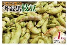 丹波黒 枝豆 さやのみ 250g×4袋 計1kg 【2025年10月前半〜10月後半配送】  [米谷 兵庫県 三田市 3d28bev600000] 枝豆 えだまめ 丹波 黒枝豆 黒豆 国産 野菜 おつまみ