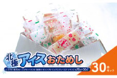 【ふるさと納税】 北極アイス おためし30本セット ( ミルク / あずき / ココア / パイン / 抹茶 / オレンジ / ミックスジュース / レモン)  アイスキャンデー アイスバー フルーツアイス 果物 スイーツ 氷菓 菓子 アソート 詰め合わせ 人気 [3d28bae540019]