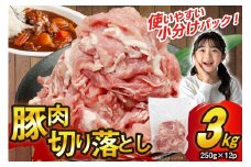 豚肉 切り落とし 250g 12p 計3kg [司フーズ・システム 兵庫県 三田市 3d28bdy500012] 豚 肉 豚切り落とし 切落し セット 小分け 真空パック 真空 冷凍 お弁当 おかず おすすめ