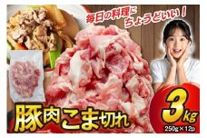 豚肉 こま切れ 250g 12p 計3kg [司フーズ・システム 兵庫県 三田市 3d28bdy500010] 豚こま 小分け 真空パック 冷凍 セット こま 小間切れ 豚こま肉 豚小間 豚細切れ 豚小間切れ