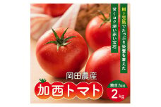 トマト 2kg 加西トマト 2025年度産 兵庫県産 野菜 とまと 完熟 高糖度 濃厚 甘い 賞 受賞 糖度 減農薬 夏野菜 あまい お取り寄せ 冷蔵配送