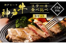 神戸牛 ステーキ 希少部位 食べ比べセット Bセット 計5枚 850g セット 詰め合わせ ロースステーキ もも 赤身 ランプステーキ A4ランク A5ランク 牛肉 牛 お肉 肉 ブランド牛 和牛 神戸ビーフ 但馬牛 ステーキ肉 国産 冷凍