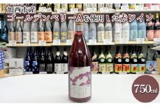 加西市産ゴールデンベリーA を使用した赤ワイン 750ml×1本 コタニ