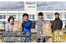 米 【令和7年産】神大のおこめ（特別栽培米ヒノヒカリ）玄米30kg お米