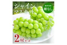 【令和7年産】シャインマスカット 2房 セット 約1.2～1.5kg ぶどう 葡萄 ブドウ マスカット 種なし 高級ぶどう フルーツ 果物 くだもの 季節のフルーツ 旬のフルーツ