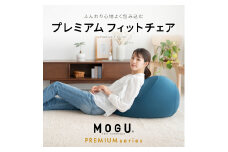 【MOGU-モグ‐】プレミアム　フィットチェア ウッドブラウン〔 クッション ビーズクッション リビングクッション〕 母の日 おすすめ ギフト プレゼント お祝い 母の日 おすすめ ギフト プレゼント お祝い
