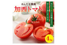 加西市産 ほんたま農園の大玉トマト 4kg（2kg×2箱）