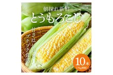 とうもろこし 朝どり 10本 4kg 前後 2025年 兵庫県産 よしよし畑 農家直送 朝どれ 野菜 新鮮 高糖度 キャンプ BBQ アウトドア 極甘 甘い 絶品 朝 採り 夏野菜 あまい 冷蔵配送