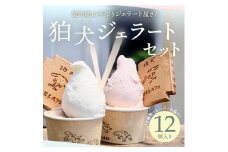 アイス 狛犬 ジェラート 12種類12個 食べ比べ セット 定番9種季節限定3種 ソルベ ジェラート 詰め合わせ ミルク いちご 抹茶 チョコレート チョコ ラムネ ドルチェラテ ピスタチオ グレープフルーツ ブラッドオレンジ ギフト