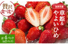加西市産 いちご「章姫」「やよい姫」食べ比べ 4パックセット