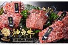 焼肉セット 3種 バラ モモ 牛タン 計500g 神戸牛 焼き肉 牛肉 和牛 焼肉 キャンプ BBQ アウトドア バーベキュー 黒毛和牛 お肉 冷凍  小分け