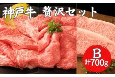 神戸牛 贅沢セットB 計700g 牛肉 和牛 お肉 ギフト ステーキ すき焼き しゃぶしゃぶ 赤身 ブランド牛 冷凍