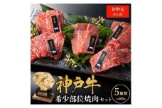 お中元 神戸牛 希少部位 焼肉セット 5種 400g セット 詰め合わせ 食べ比べセット 神戸ビーフ 和牛 ブランド牛 牛肉 肉 食べ比べ 焼肉 アウトドア BBQ キャンプ プレゼント のし付