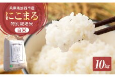 【令和6年産新米予約受付】 特別栽培米 にこまる 白米10kg (5kg×2袋) 東京米スターセレクションKIWAMI米2023 金賞受賞！ 新米 精米 白米 お米 こめ コメ ごはん ご飯 ニコマル 先行予約 単一原料米 お楽しみ
