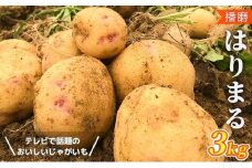 【テレビで話題！】美味しいジャガイモ　はりまる  兵庫県産 3kg