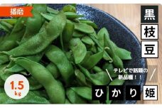 【テレビで話題！】兵庫の新品種黒枝豆 ひかり姫 兵庫県 万願寺産 1.5kg