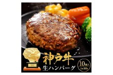 【11月お届け】神戸牛 ハンバーグ 100g×10個 神戸ビーフ 国産 普段使い 肉 牛肉 セット 冷凍 小分け