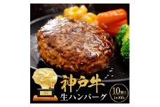 【12月お届け】神戸牛 ハンバーグ 100g×10個 神戸ビーフ 国産 普段使い 肉 牛肉 セット 冷凍 小分け