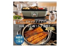 アラジン グラファイトミニグリラー グリーン 緑   国産 よかわ錦うなぎ 蒲焼き 約250g セット 詰め合わせ CAG-MG7AG うなぎ 鰻蒲焼 アラジングリル グラファイトグリラー ホットプレート 調理家電 家電 日用品 加西市 × 三木市 