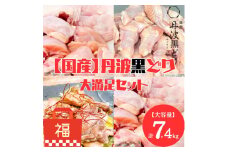 地鶏 丹波 黒どり 大満足セット 計7.4kg 福袋 モモ肉 炭火焼 手羽元 高タンパク低カロリー ダイエット  冷凍 鶏肉 国産