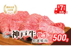 【最短7日以内発送】 神戸ビーフ 神戸牛 牝 特選焼肉 500g 川岸畜産 冷凍 肉 牛肉 すぐ届く