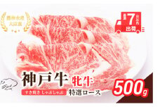 【最短7日以内発送】 神戸ビーフ 神戸牛 牝 特選ロース 500g 川岸畜産 すき焼き しゃぶしゃぶ 焼肉 冷凍 肉 牛肉 すぐ届く
