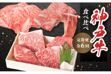神戸ビーフ 神戸牛 牝 6か月連続 お届け 定期便 最高級セット 食べ比べ 焼肉 すき焼き しゃぶしゃぶ ステーキ 冷凍 肉 牛肉 すぐ届く