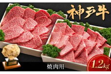 神戸ビーフ KSYS5 焼肉 用セット 神戸牛 焼肉 太田家 冷凍 肉 牛肉 小分け