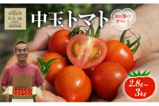 よしよし畑のあま～い トマト ( 中玉トマト ) 2.8kg ～ 3kg 程度 新鮮 産地直送  とまと おいしい おすすめ ギフト お取り寄せ