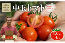 よしよし畑のあま～い トマト ( 中玉トマト ) 3.8kg ～ 4kg 程度 新鮮 産地直送  とまと おいしい おすすめ ギフト お取り寄せ