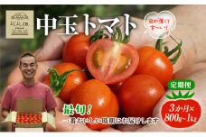 【最旬お届け確約】3ヶ月連続  よしよし畑のあま～い トマト ( 中玉トマト ) 800g ～ 1kg 計約3kg 程度 新鮮 産地直送  とまと 頒布会 定期便 おいしい おすすめ ギフト お取り寄せ