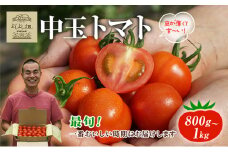 【最旬お届け!!】よしよし畑のあま～い トマト ( 中玉トマト ) 800g ～ 1kg 程度 新鮮 産地直送 冷蔵 とまと おいしい おすすめ ギフト お取り寄せ