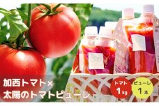 トマト 1kg+太陽のトマトピューレ 380g×1本 セット 加西トマト 2025年度産 兵庫県産 野菜 とまと 完熟 高糖度 濃厚 甘い 賞 受賞 糖度 夏野菜 あまい お取り寄せ 冷蔵配送