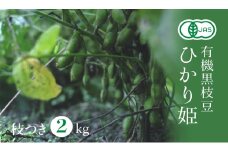 【2025年秋穫れ！有機黒枝豆】丹波黒の後継品種「ひかり姫」枝付き2kg 朝採り 黒枝豆 豆 マメ 産地直送 おつまみ つまみ 兵庫 先行 予約