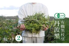 【2025年秋穫れ！希少な有機黒枝豆】農家直送！丹波黒枝豆　枝付き2kg 朝採り 黒枝豆 豆 マメ 産地直送 おつまみ つまみ 兵庫 先行 予約