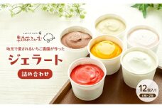 ジェラート 12個 12種 詰め合わせ アイス アイスクリーム スイーツ お菓子 菓子 おやつ 兵庫県 加西市 