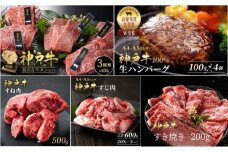 神戸牛 福袋 生ハンバーグ 4個入 (100g×4個) すじ肉  600g (200g×3P) すき焼き 200g 焼肉セット 計400g 牛タン100g 牛スネ肉 500g セット 詰め合わせ A4ランク A5ランク 牛肉 牛 お肉 肉 ブランド牛 和牛 神戸ビーフ 肉 惣菜 国産 冷凍 小分け