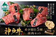 特別寄附額 改定前 神戸牛 希少部位 焼肉セット 5種 計1200g 1.2kg 各80g×3パック×5種 セット ミスジ ヒウチ 三角バラ トウガラシ マルシン 食べ比べセット 神戸ビーフ 和牛 ブランド牛 牛肉 肉 食べ比べ 焼肉 プレゼント お届け