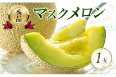 【先行予約】マスクメロン アールスメロン アールスムーラン 1個 糖度14度以上 メロン 大玉 めろん フルーツ 秀品 兵庫県 加西市産 ギフト プレゼント 人気