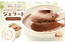ジェラート チョコ 6個 アイス アイスクリーム スイーツ お菓子 菓子 おやつ 兵庫県 加西市 